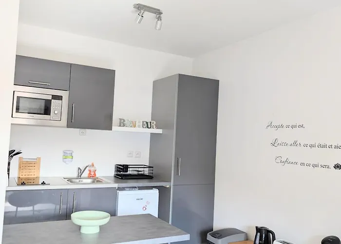 Détente Proche Sanctuaires Appartement Lourdes